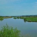 vo01  Altmühlsee - Vogelinsel