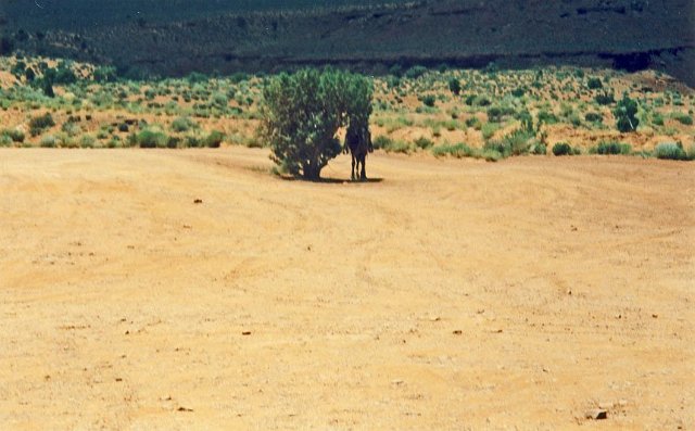 monument-valley-09