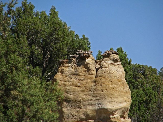 aa24